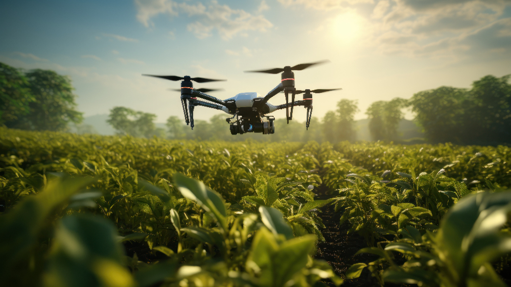 Droni e AI nel monitoraggio agricolo: il progetto pilota Agea-Avepa